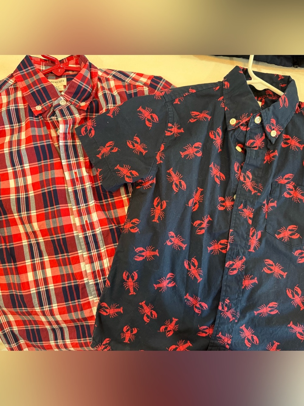 Boys J Crew Button-Down Shirt, set of 2 (size 6-7)